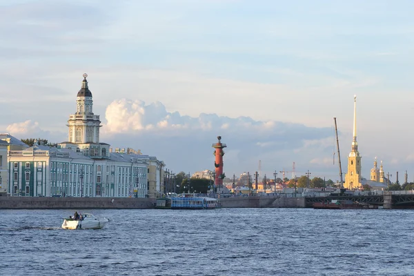 Kuriositätenkabinett in St. petersburg — Stockfoto