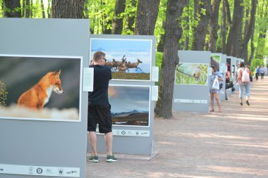 Photo exhibition in Summer Garden in Petersburg
