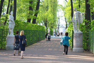 st.petersburg Park Yaz bahçede