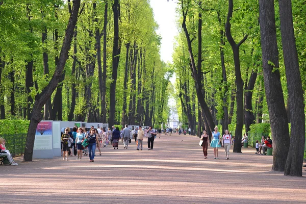 Park letní zahrada v st.petersburg — Stock fotografie