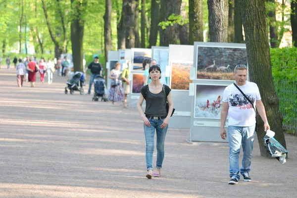 Parque Jardín de verano en San Petersburgo — Foto de Stock