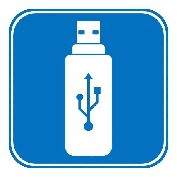 Usb botón de flash — Vector de stock