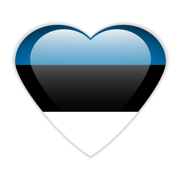 Estonia flag button. — Stock Vector