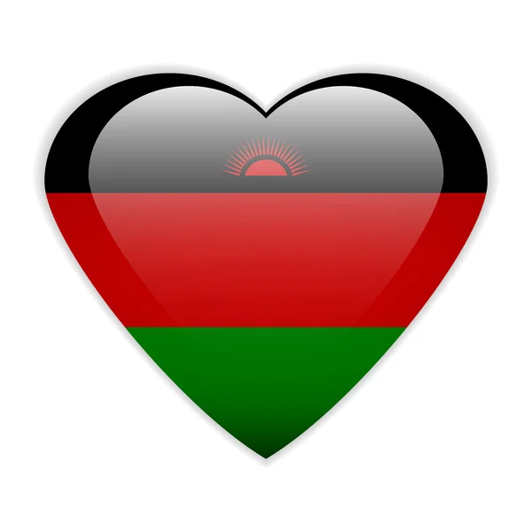 Malawi flag button. — Stock Vector