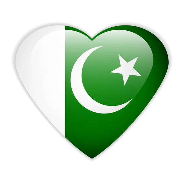 Pakistan flag button. — Stock Vector