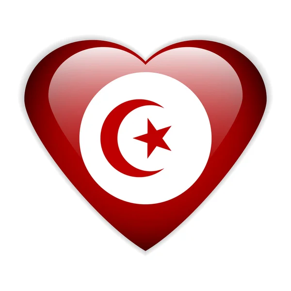 Bouton drapeau Tunisie . — Image vectorielle