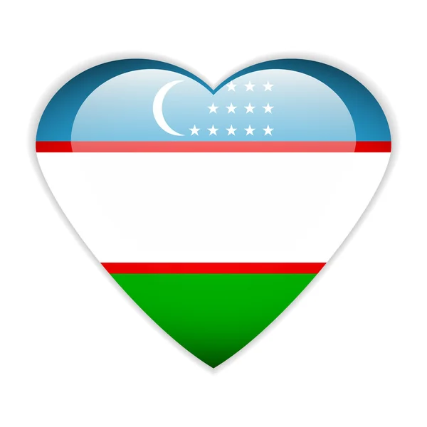 Botão de bandeira do Usbequistão . —  Vetores de Stock