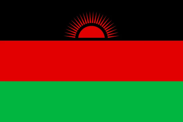 Bandeira do malaui — Vetor de Stock