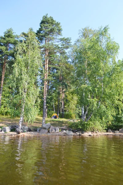 Floresta nas margens do lago — Fotografia de Stock