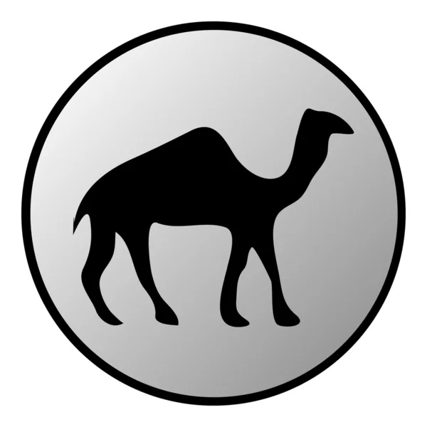 Pulsante cammello — Vettoriale Stock