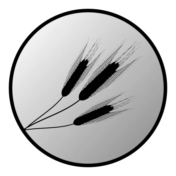 小麦按钮 — 图库矢量图片
