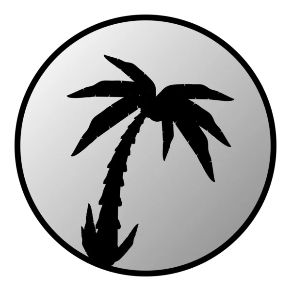 Palm knop — Stockvector