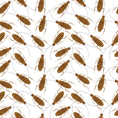 Hamam böcekleri seamless modeli