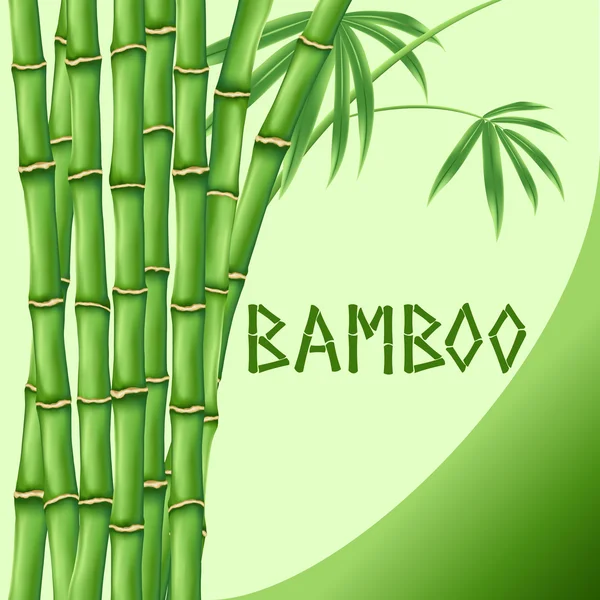 Bambu.