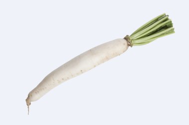 Daikon turp üzerine beyaz izole et.