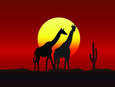 zürafa ailesi silhouettes