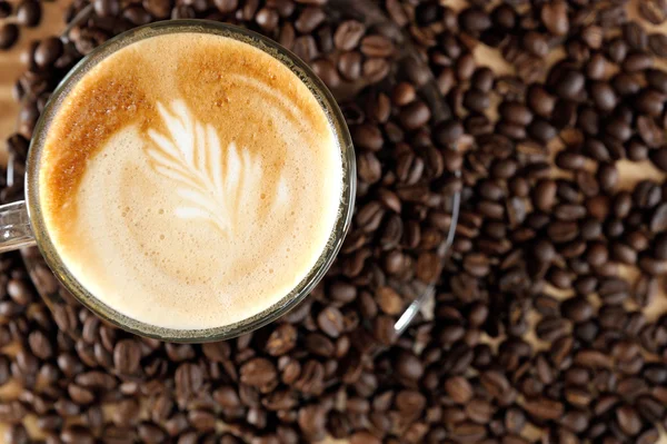 Granos de café frescos —  Fotos de Stock