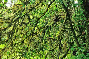 Sahilde gün batımı