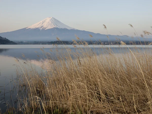 MT fuji in de vroege ochtend — Stockfoto