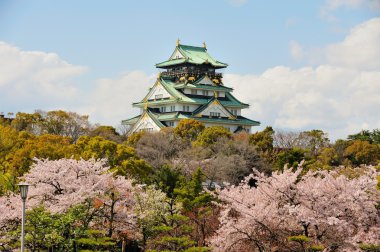 Osaka Kalesi kiraz çiçekleri ile 