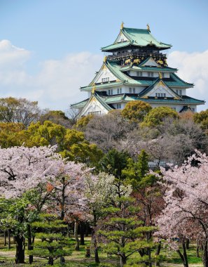 Osaka Kalesi kiraz çiçekleri ile 