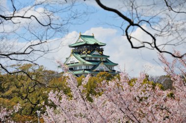 Osaka Kalesi kiraz çiçekleri ile 
