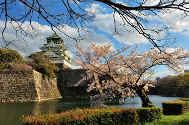 Osaka Kalesi kiraz çiçekleri ile 