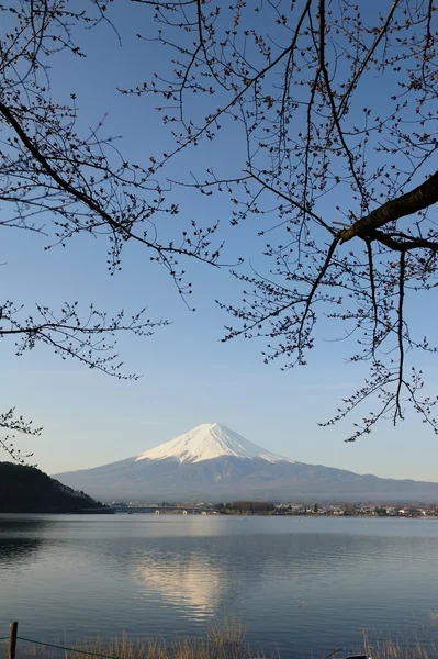 Monte Fuji y flor de cerezo —  Fotos de Stock