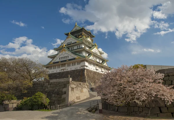 Замок Осака с цветущей вишней — стоковое фото