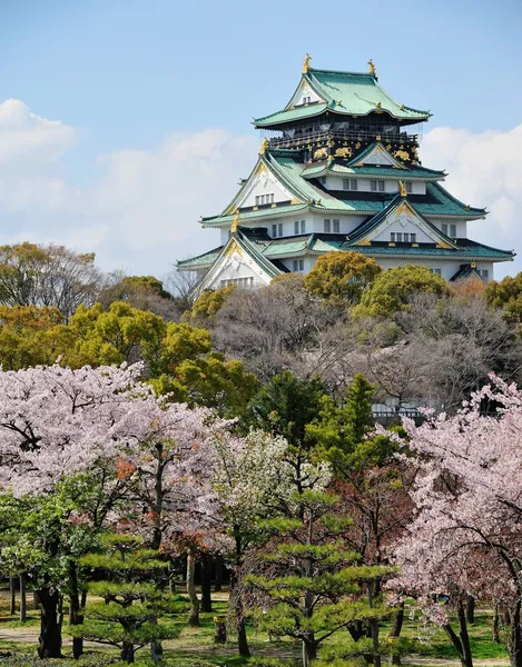 Château osaka avec les fleurs de cerisier — Photo