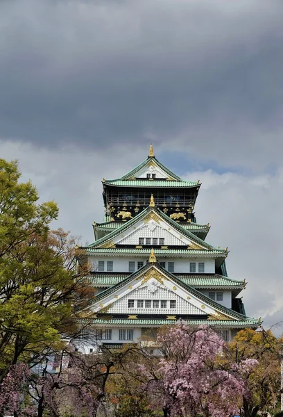 Osaka castillo con las flores de cerezo — Foto de Stock