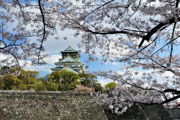 Castelo osaka com as flores de cereja — Fotografia de Stock
