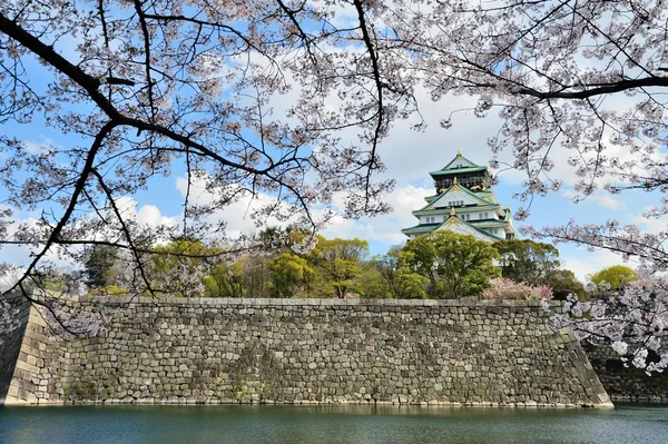 Osaka castillo con las flores de cerezo — Foto de Stock