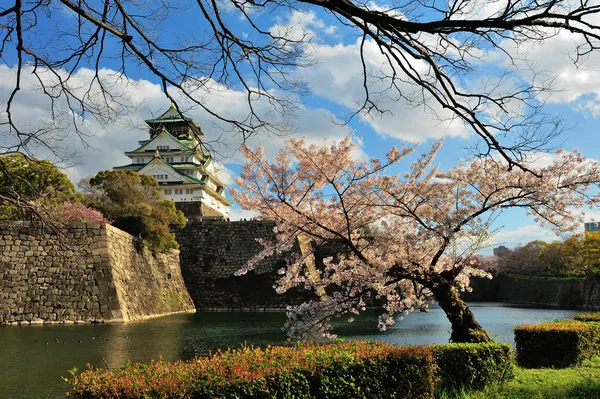 Osaka castle with the cherry blossoms — Stock Photo, Image