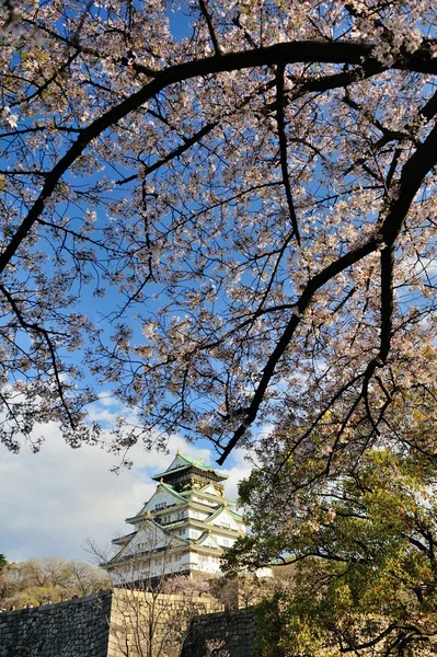 Osaka castillo con las flores de cerezo — Foto de Stock