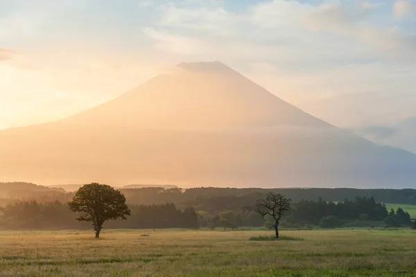 Mt. Fuji. — Fotografia de Stock