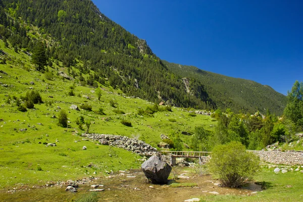 Meer llebreta in de Pyreneeën — Stockfoto