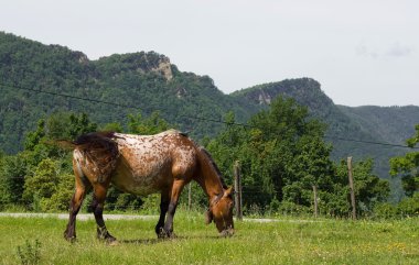 At köyde.