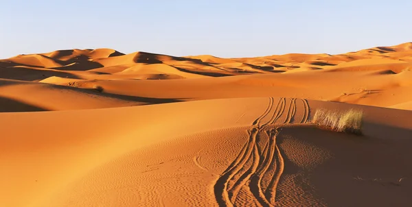 Sentiero nel deserto — Foto Stock