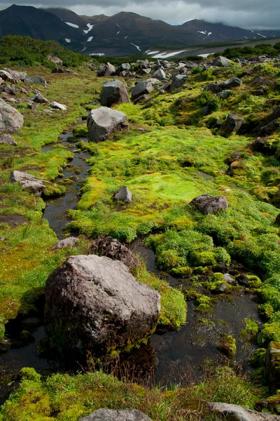 Naturaleza en Kamchatka —  Fotos de Stock