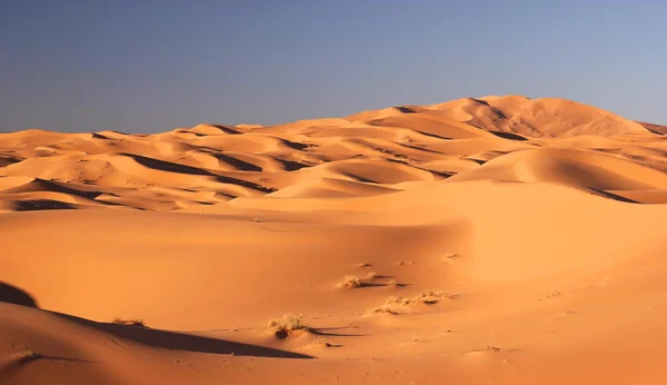 Duinen van de Saharawoestijn — Stockfoto