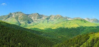 pyrenees görünümünü