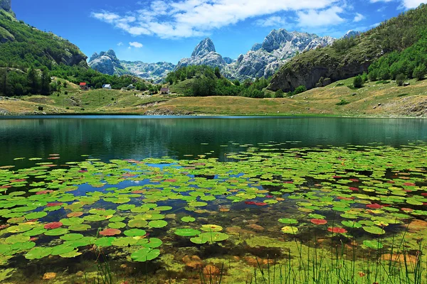 モンテネグロの山湖 — ストック写真