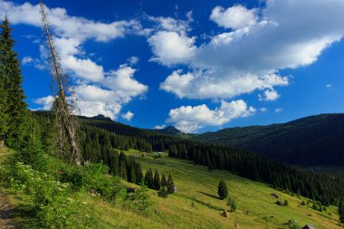 prokletije Milli Parkı