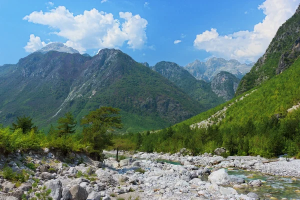 Gebirgsfluss in Albanien — Stockfoto