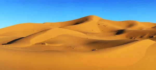 Poušť Sahara — Stock fotografie