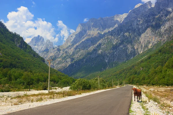 Road in Albanian Alps — Stock Photo, Image