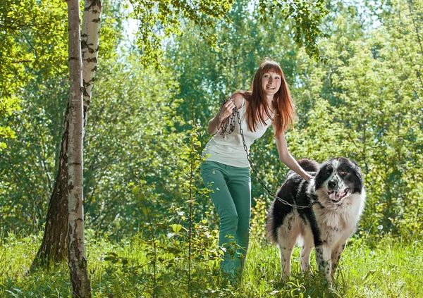 Mujer joven con el perro al aire libre — Foto de Stock