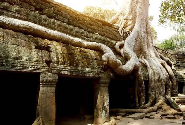 Ta Phrom templo — Fotografia de Stock