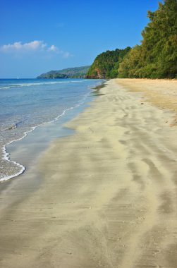 kumlu bir plaj tropikal